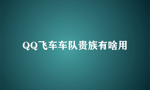 QQ飞车车队贵族有啥用