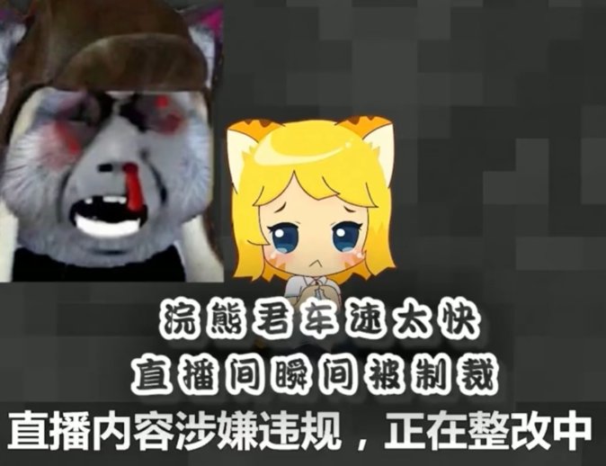 浣熊君为什么被禁了