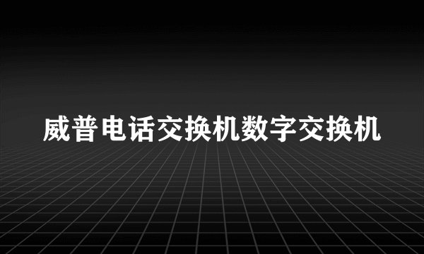 威普电话交换机数字交换机