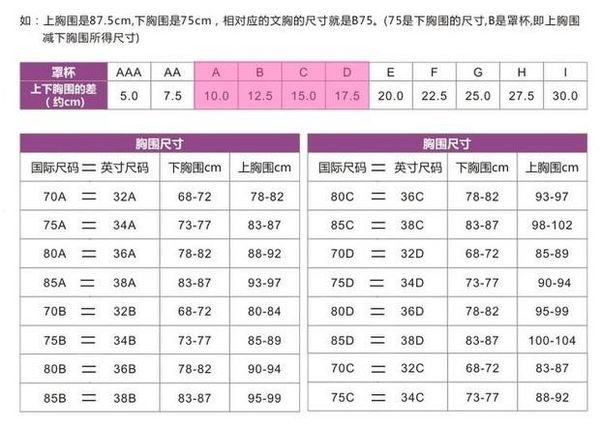 文胸B7534是什么意思