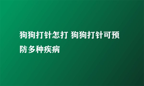 狗狗打针怎打 狗狗打针可预防多种疾病