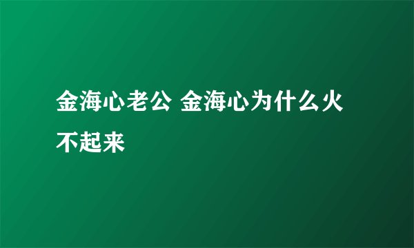 金海心老公 金海心为什么火不起来
