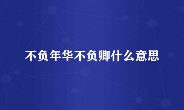 不负年华不负卿什么意思