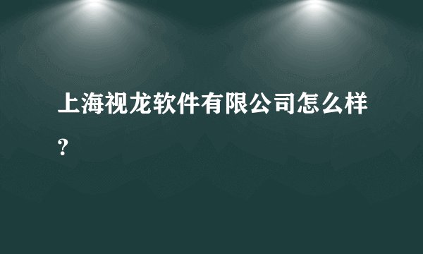 上海视龙软件有限公司怎么样?