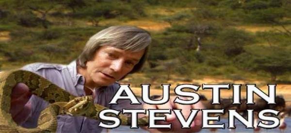 探索频道野生动物纪录片《奥斯汀闯荒野 Austin Stevens Adventures》全12集自媒体解说素材