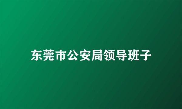 东莞市公安局领导班子