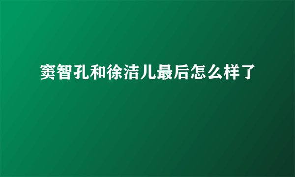 窦智孔和徐洁儿最后怎么样了