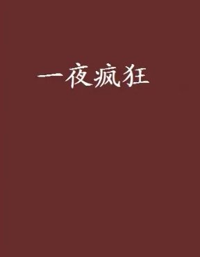 一夜疯狂剧情
