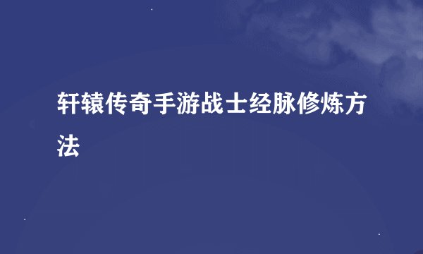 轩辕传奇手游战士经脉修炼方法