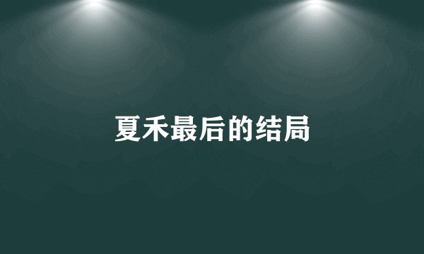 夏禾最后的结局