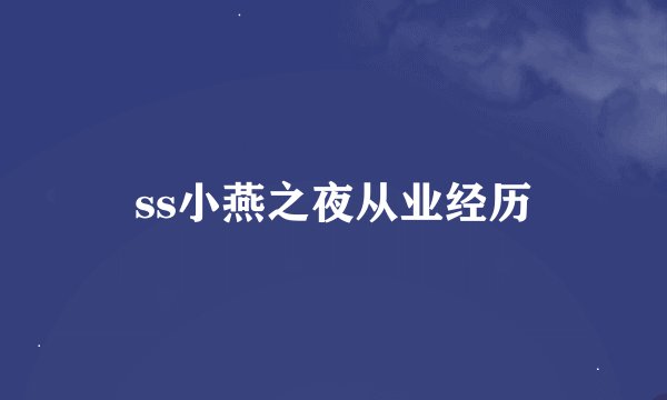 ss小燕之夜从业经历