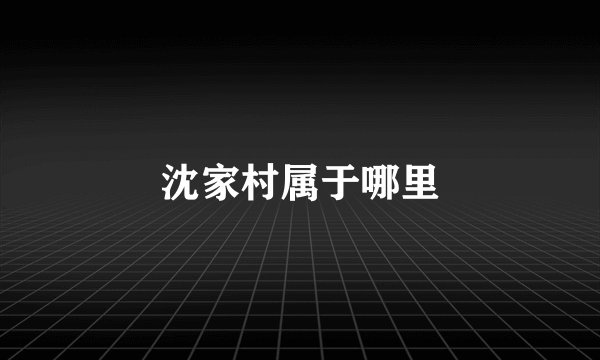 沈家村属于哪里