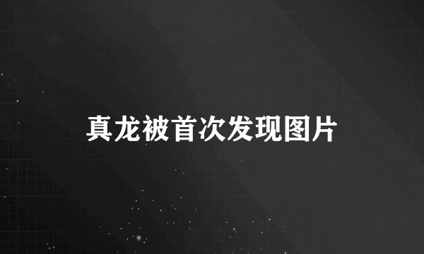 真龙被首次发现图片