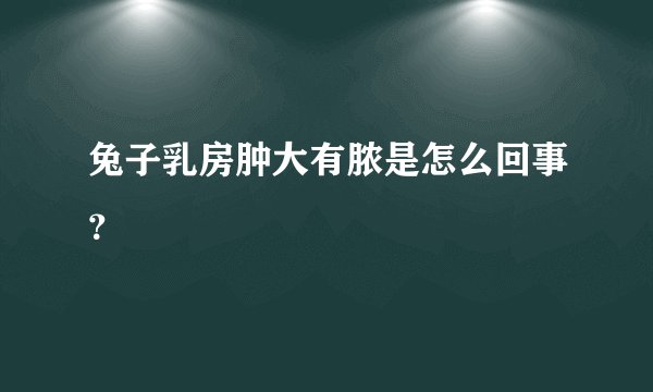 兔子乳房肿大有脓是怎么回事？