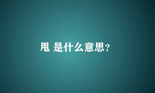 甩 是什么意思？
