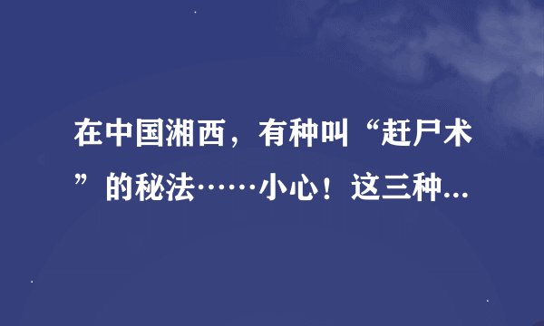 在中国湘西,有种叫“赶尸术”的秘法……小心!这三种尸体千万不可碰