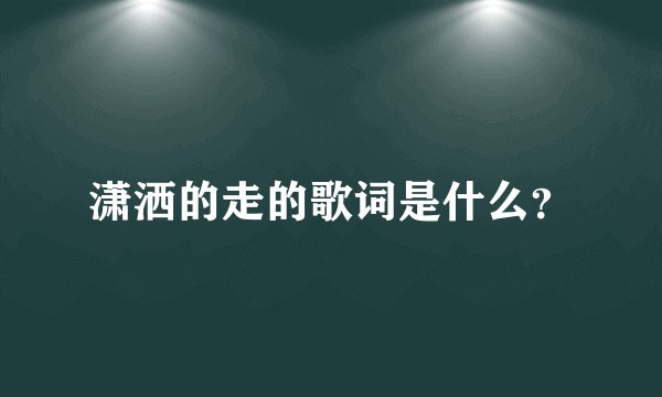 潇洒的走的歌词是什么？
