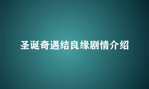 圣诞奇遇结良缘剧情介绍