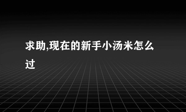 求助,现在的新手小汤米怎么过