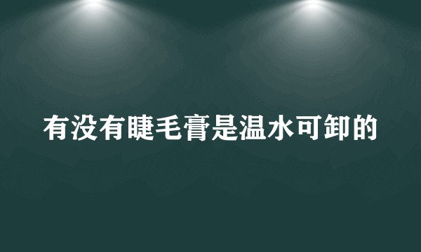 有没有睫毛膏是温水可卸的