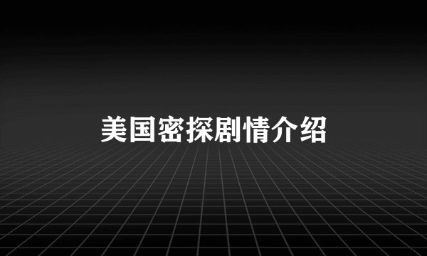 美国密探剧情介绍