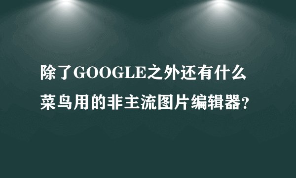 除了GOOGLE之外还有什么菜鸟用的非主流图片编辑器?