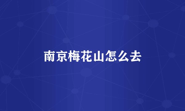 南京梅花山怎么去