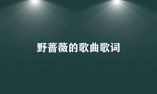 野蔷薇的歌曲歌词
