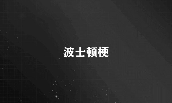 波士顿梗