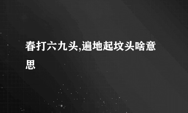 春打六九头,遍地起坟头啥意思