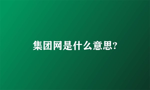 集团网是什么意思?