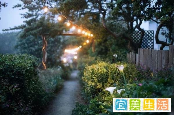 程青松宣布脱单:与19岁男友公开恋情,真爱勇气可嘉?