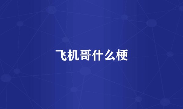 飞机哥什么梗