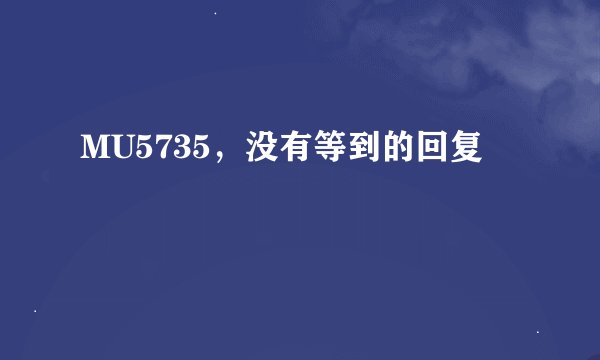 MU5735，没有等到的回复