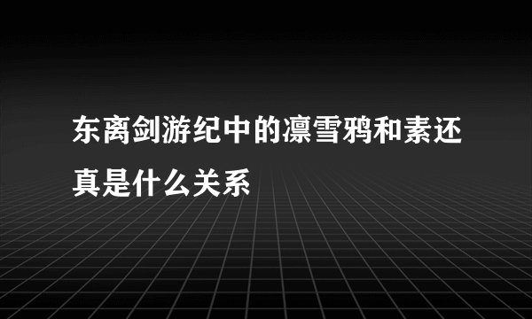东离剑游纪中的凛雪鸦和素还真是什么关系