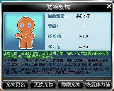qq飞车宠物姜饼小子的功能