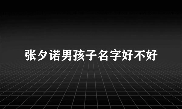 张夕诺男孩子名字好不好