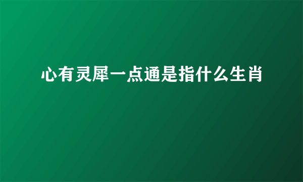 心有灵犀一点通是指什么生肖
