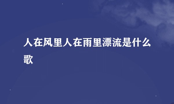 人在风里人在雨里漂流是什么歌