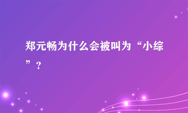 郑元畅为什么会被叫为“小综”?