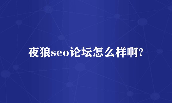 夜狼seo论坛怎么样啊?
