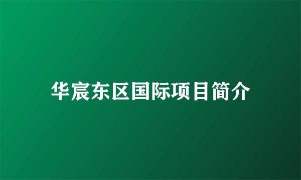 华宸东区国际项目简介