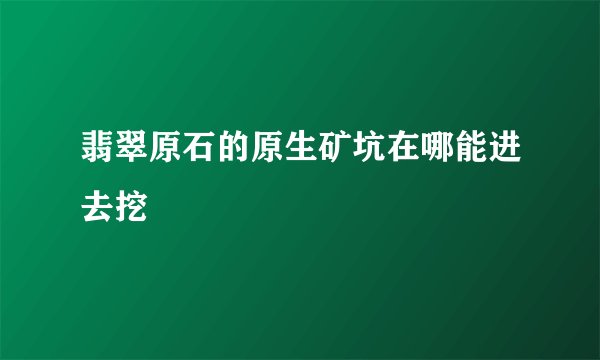 翡翠原石的原生矿坑在哪能进去挖