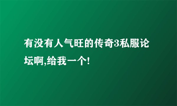 有没有人气旺的传奇3私服论坛啊,给我一个!