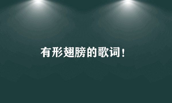 有形翅膀的歌词！