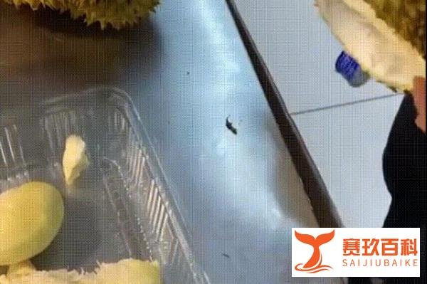 女子买榴莲连着2天被店员偷藏肉，差点几十元就没了
