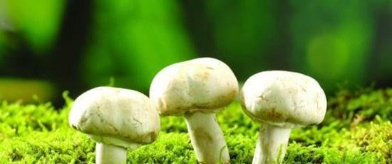 盘点！让人受益终生的六个炒股小故事。