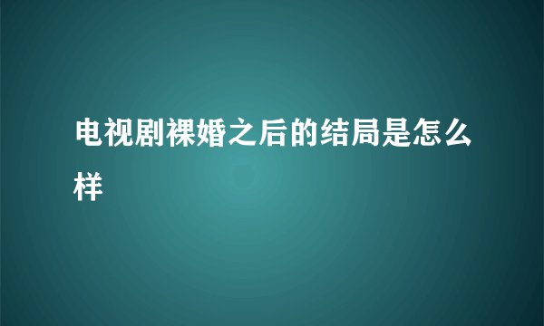 电视剧裸婚之后的结局是怎么样