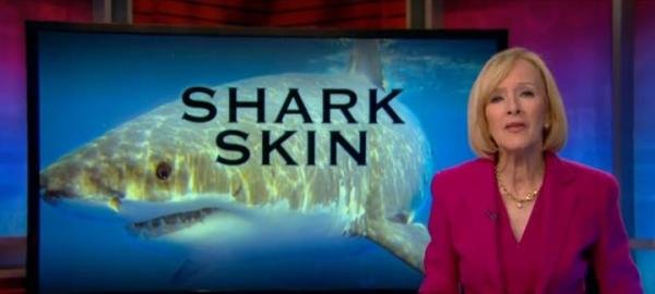 罗总的”老人与海“-sharklet鲨纹抗污