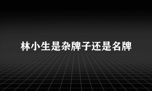 林小生是杂牌子还是名牌